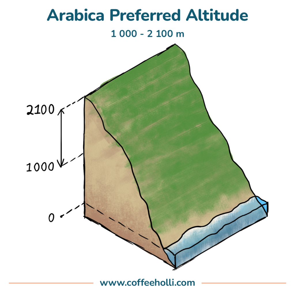 Arabica Preffered Altitude