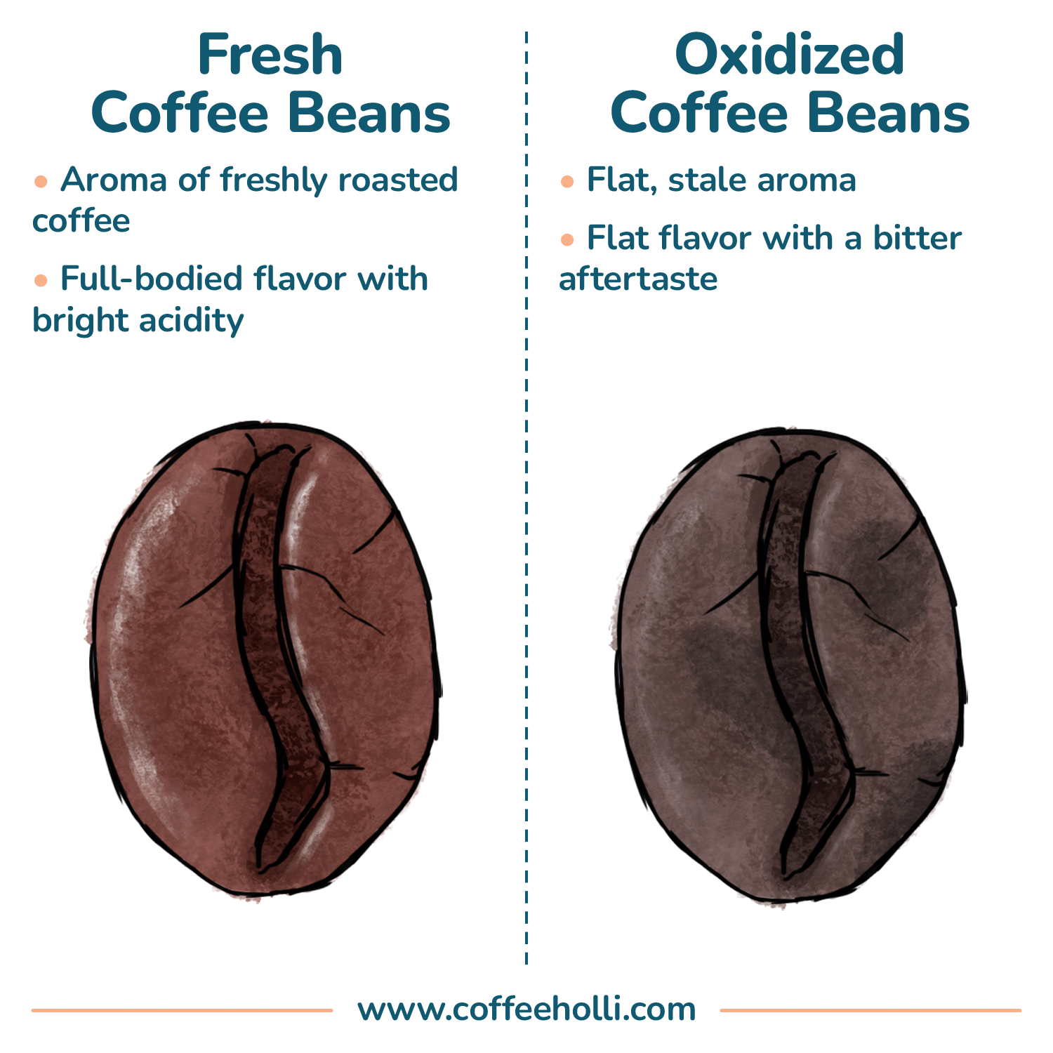 How To Store Coffee Beans The Dos & Don'ts of Coffee Storage