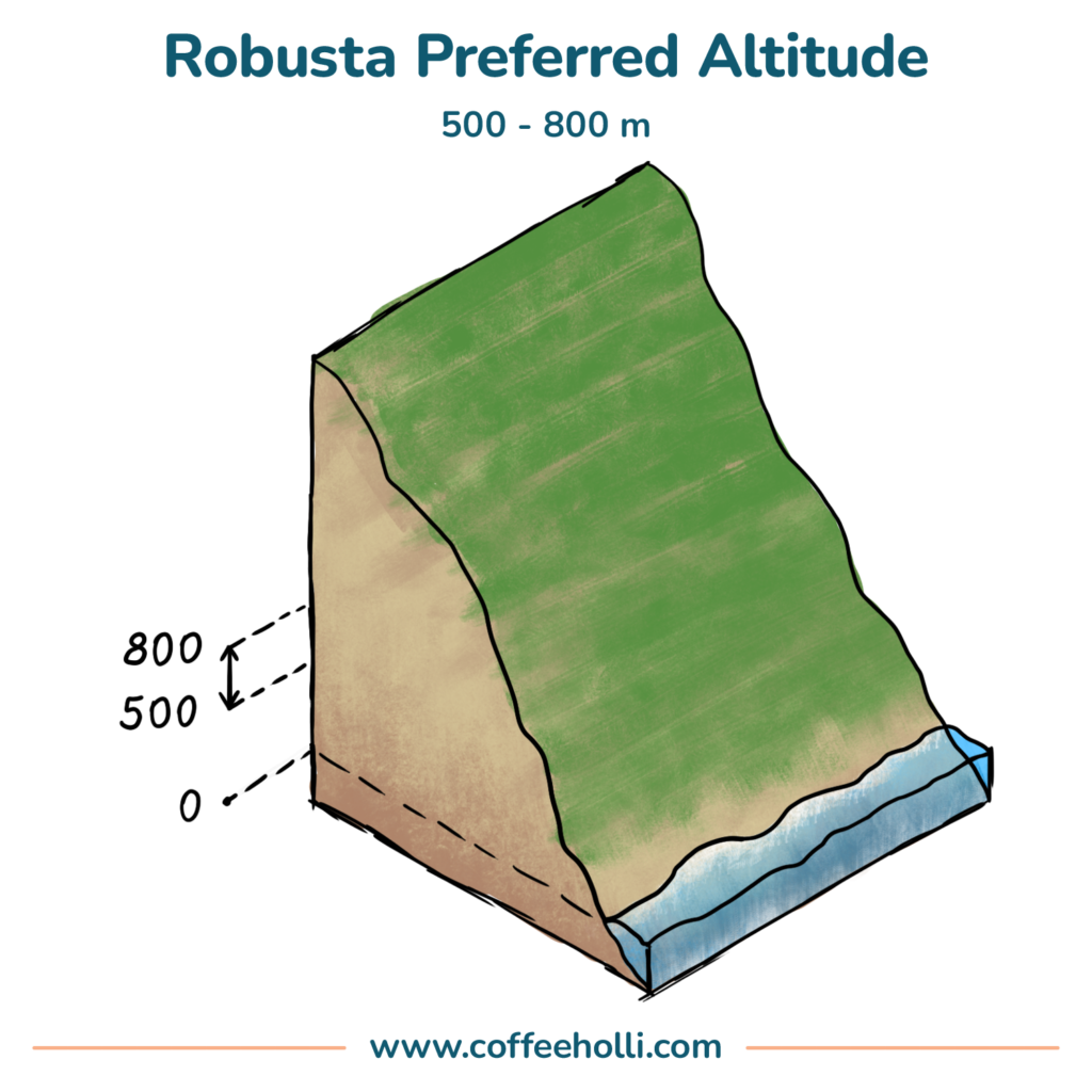 Robusta Preffered Altitude