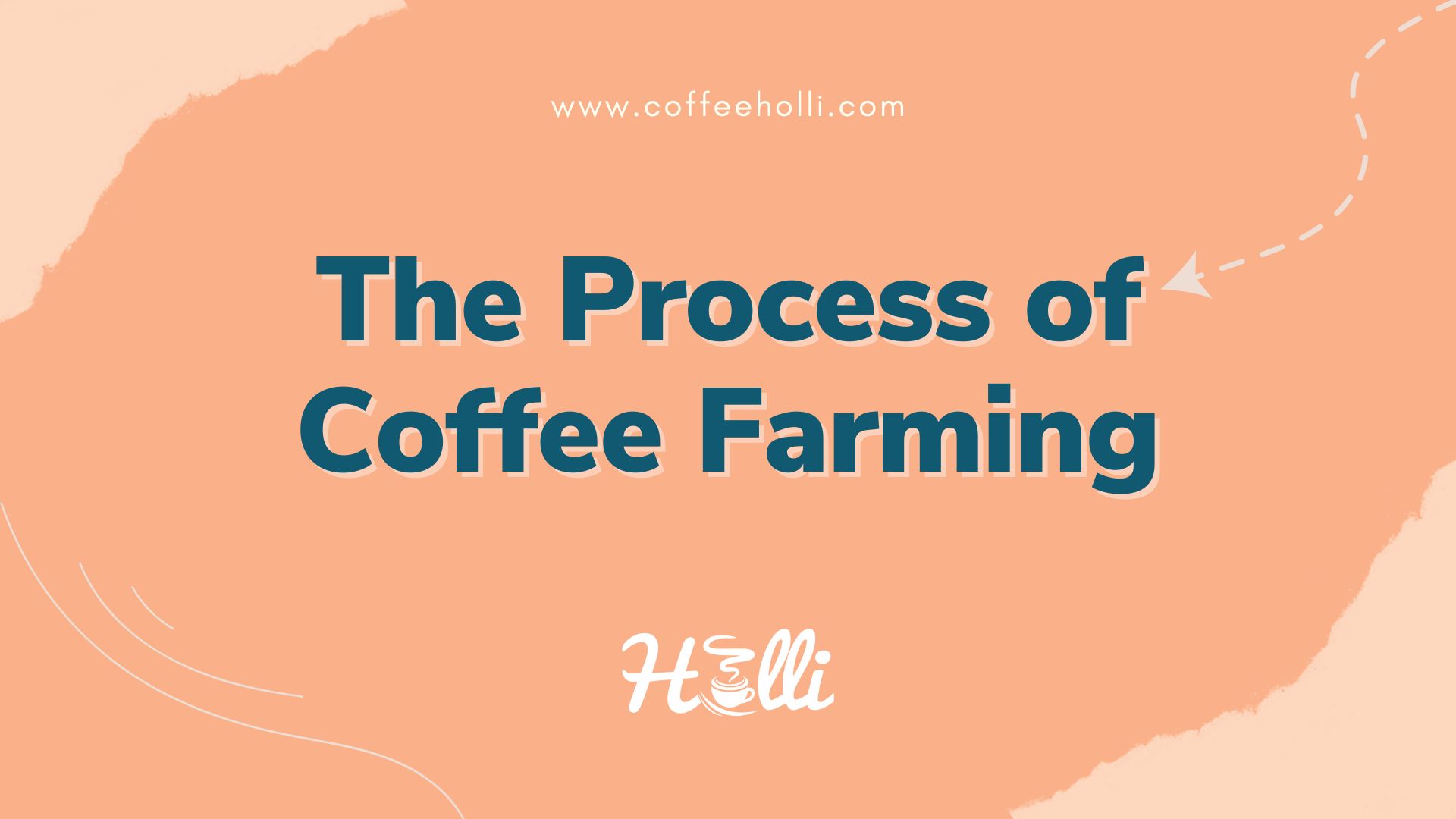 The Process of Coffee Farming