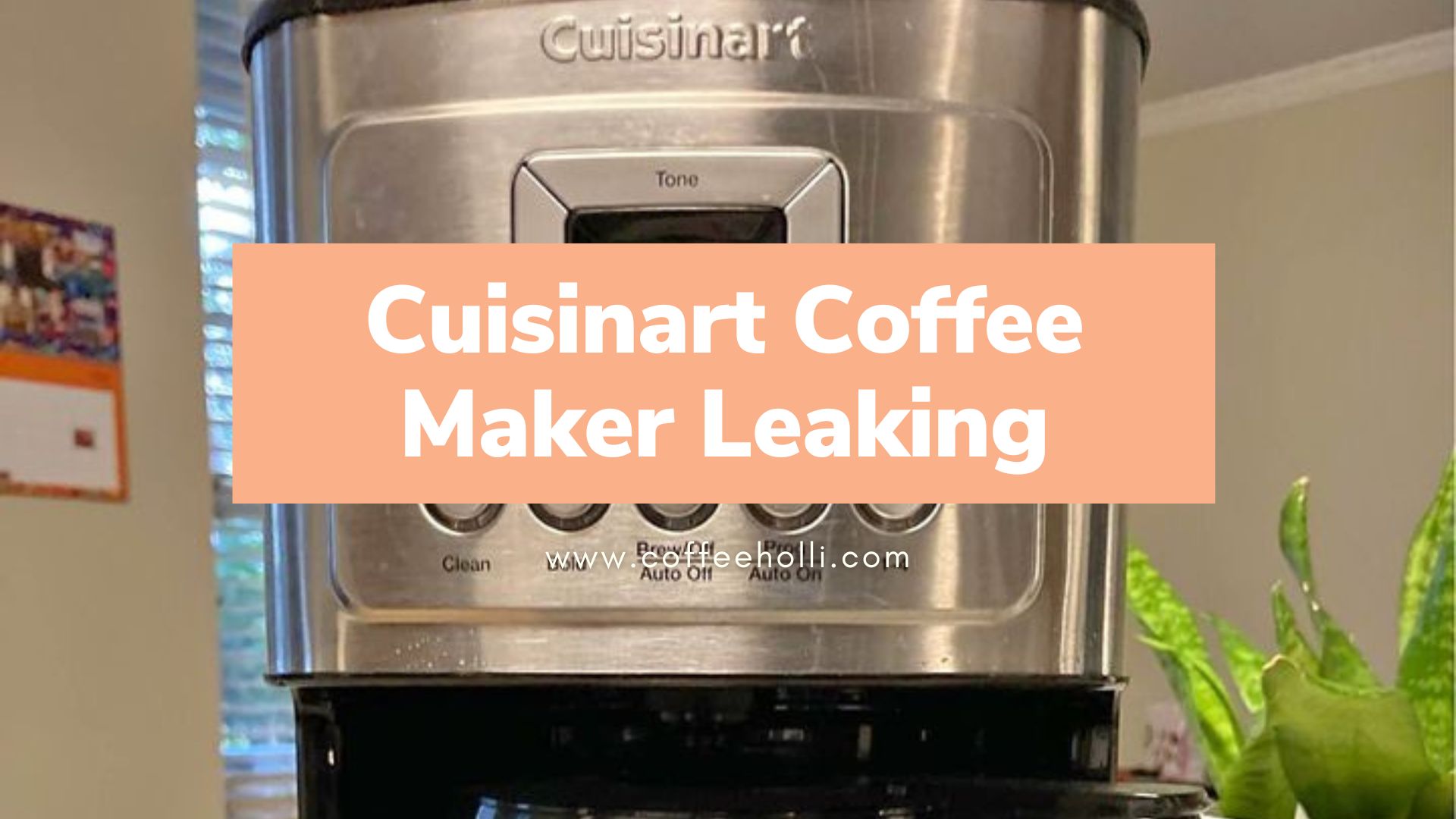 Cuisinart Coffee Maker Leaking