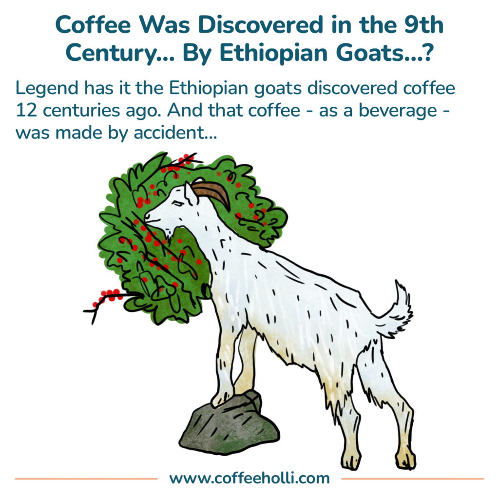 Ethiopian Goats Might Have Discovered Coffee…?