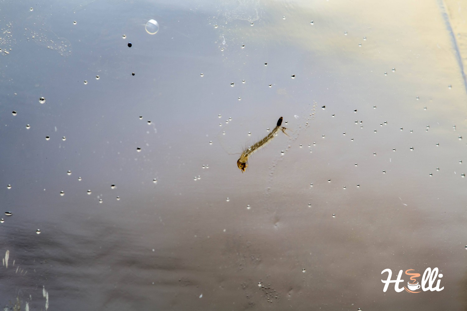 How Long Can You Leave Water in Your Keurig Reservoir?