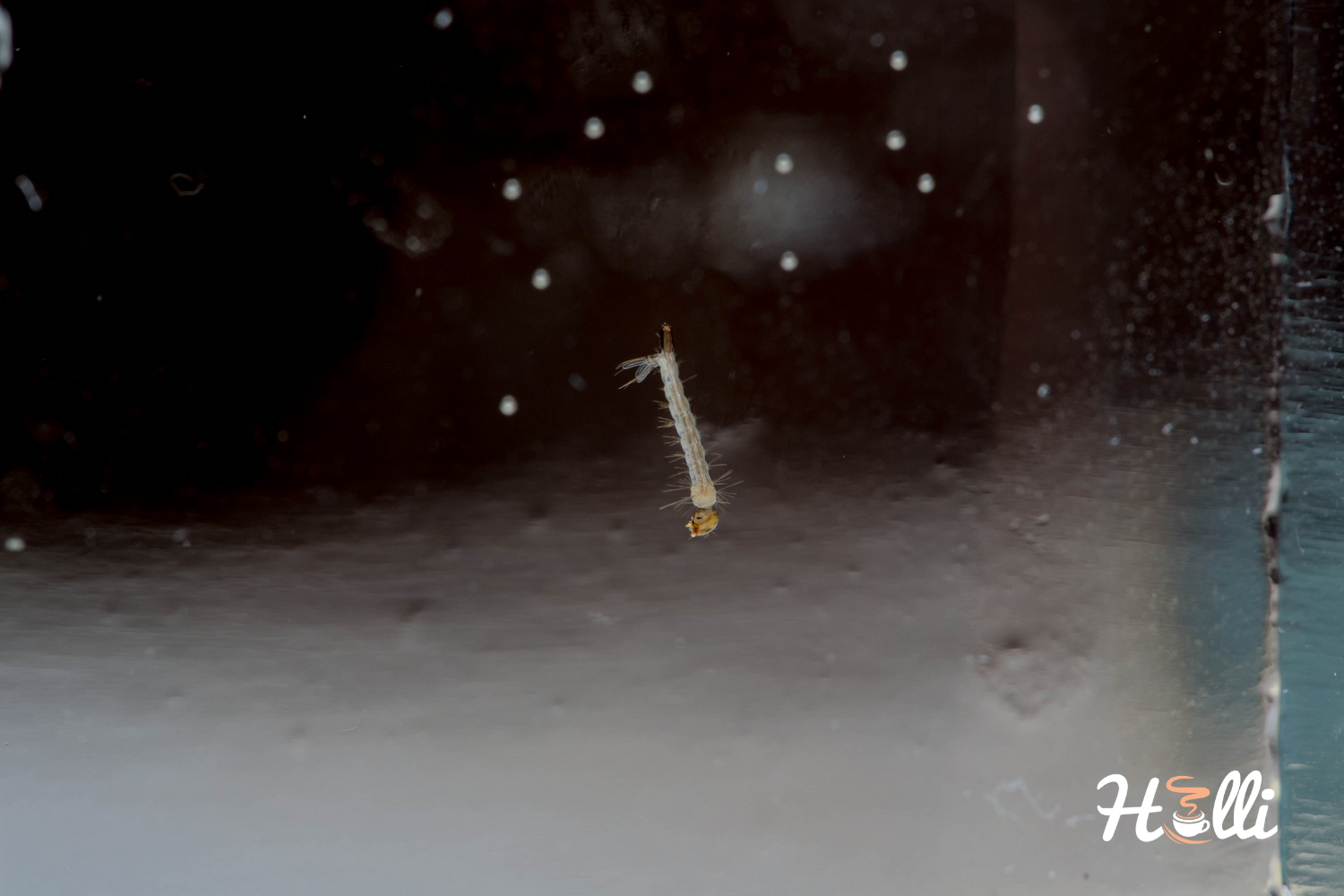 How Long Can You Leave Water in Your Keurig Reservoir?